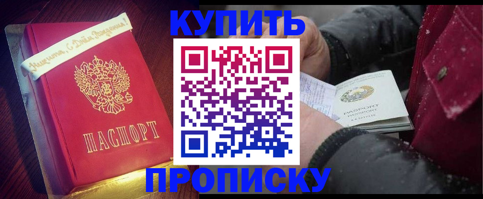 прописка гарантия в Долгопрудном